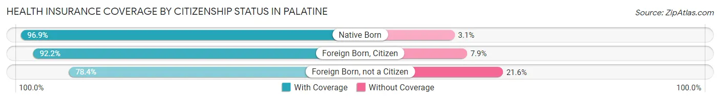 Health Insurance Coverage by Citizenship Status in Palatine