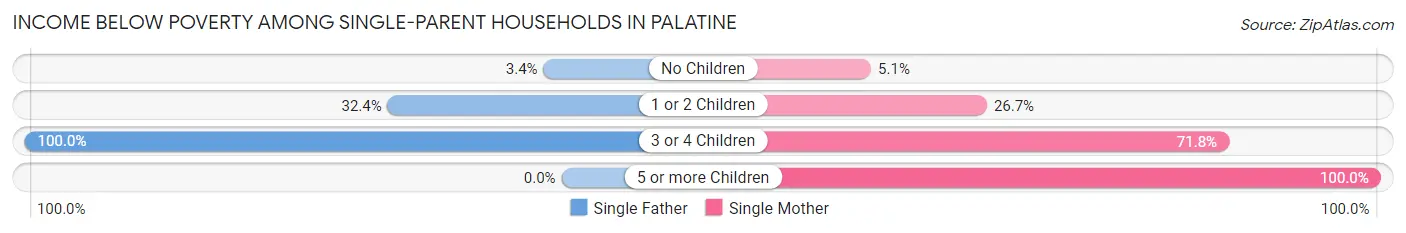 Income Below Poverty Among Single-Parent Households in Palatine