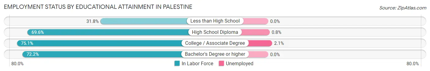 Employment Status by Educational Attainment in Palestine