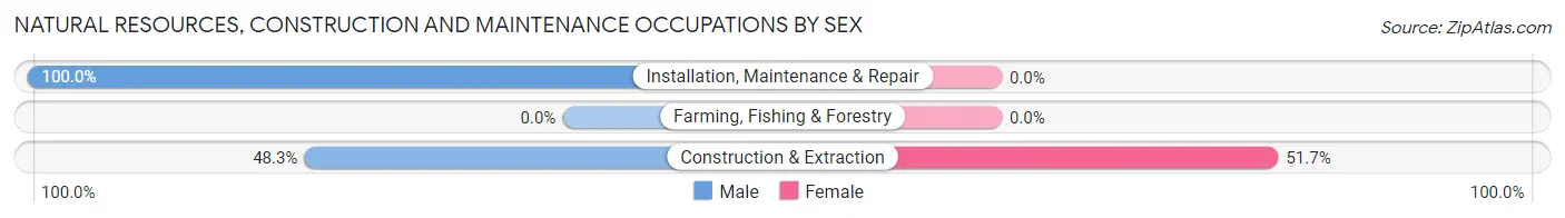 Natural Resources, Construction and Maintenance Occupations by Sex in Palestine