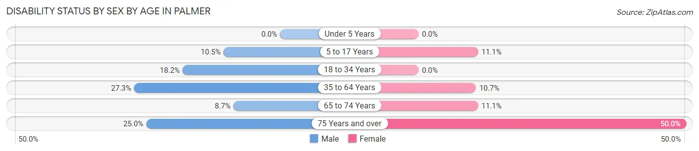 Disability Status by Sex by Age in Palmer