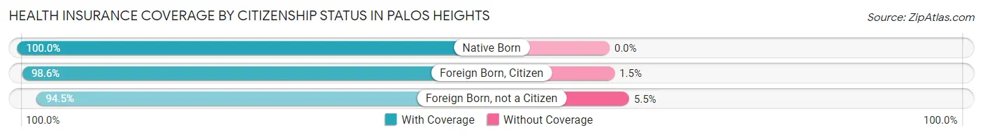 Health Insurance Coverage by Citizenship Status in Palos Heights