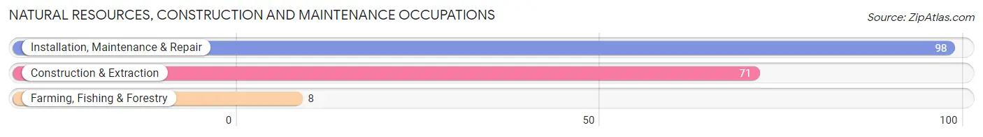 Natural Resources, Construction and Maintenance Occupations in Pana