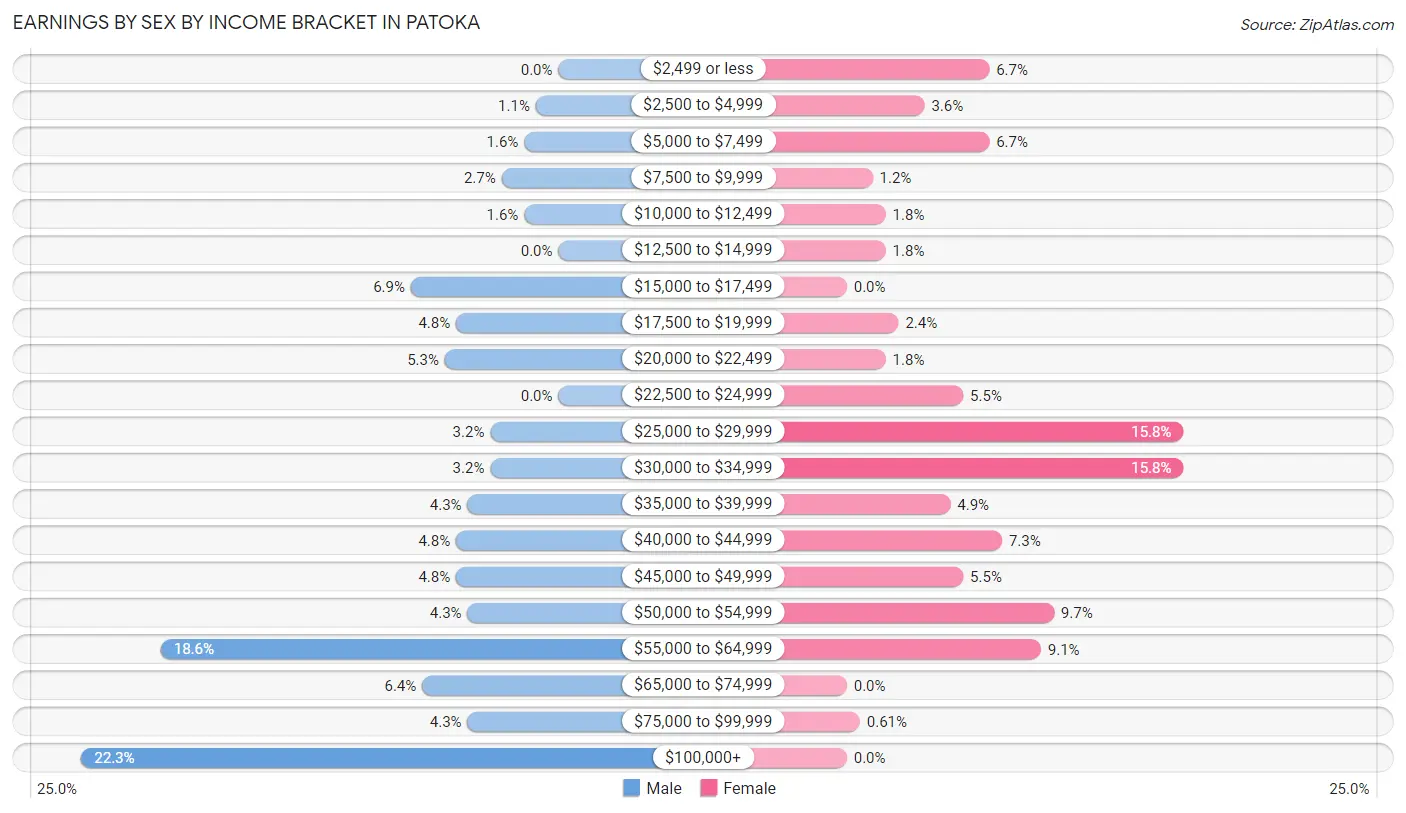 Earnings by Sex by Income Bracket in Patoka