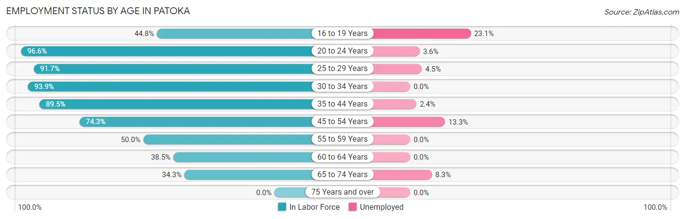Employment Status by Age in Patoka