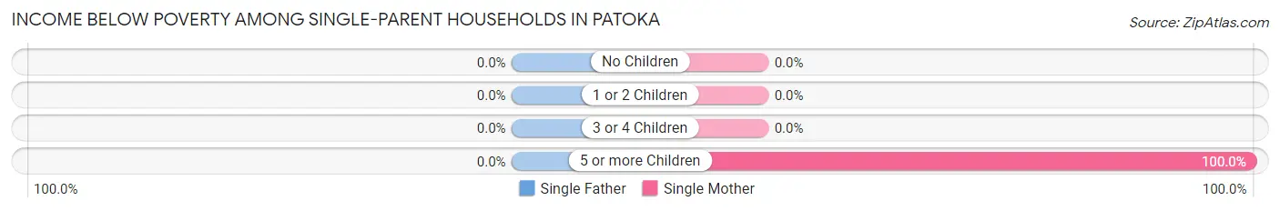 Income Below Poverty Among Single-Parent Households in Patoka