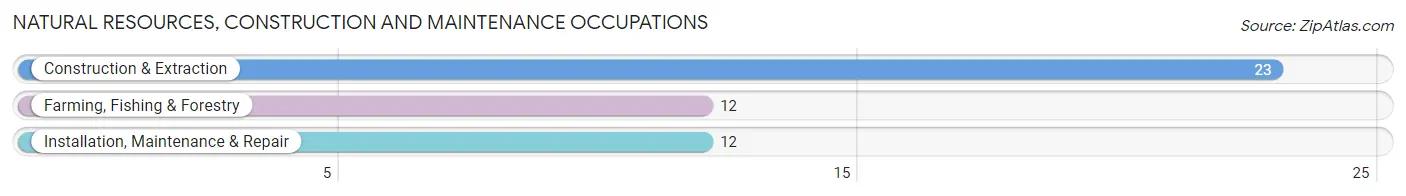 Natural Resources, Construction and Maintenance Occupations in Paw Paw