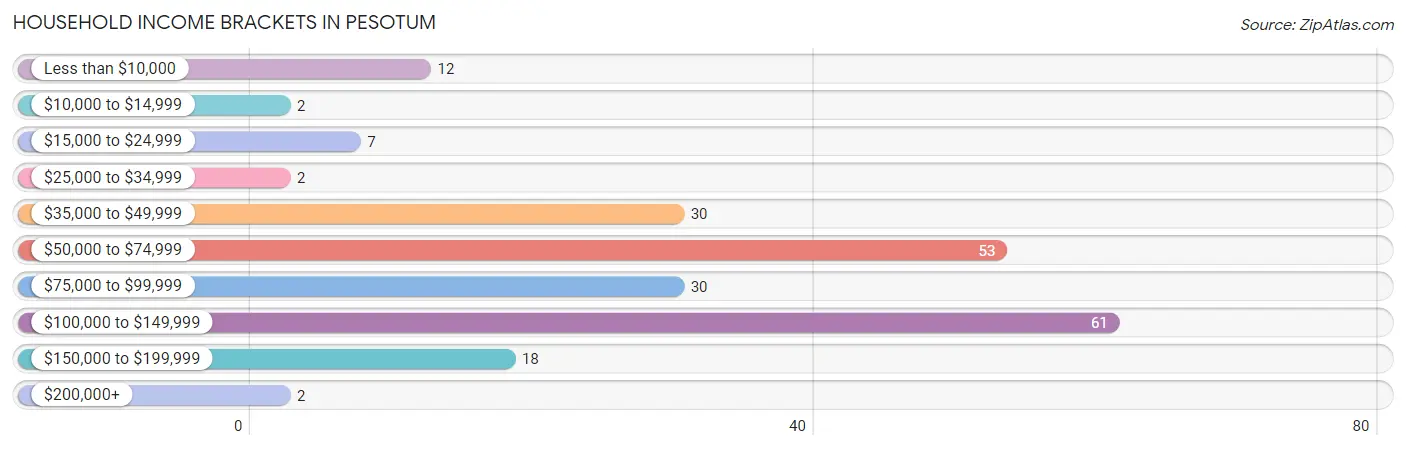 Household Income Brackets in Pesotum