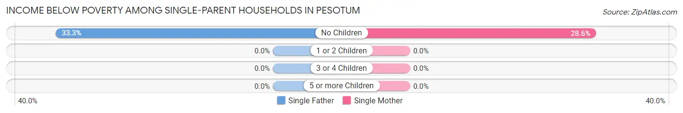 Income Below Poverty Among Single-Parent Households in Pesotum