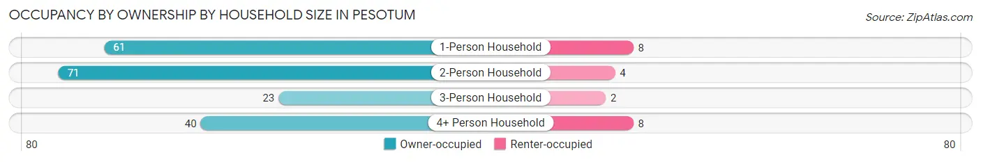 Occupancy by Ownership by Household Size in Pesotum