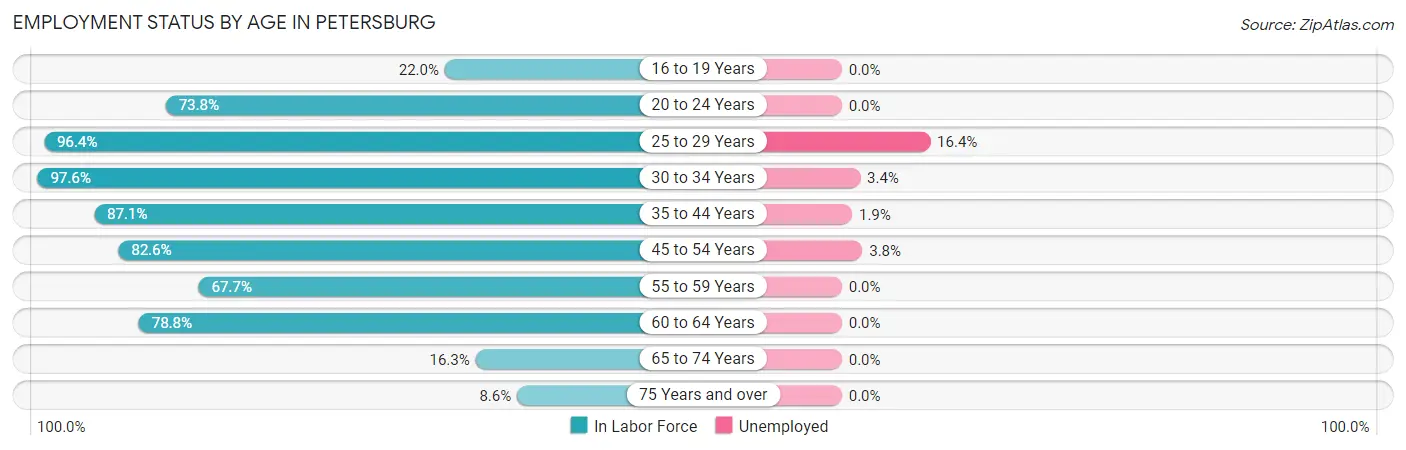 Employment Status by Age in Petersburg