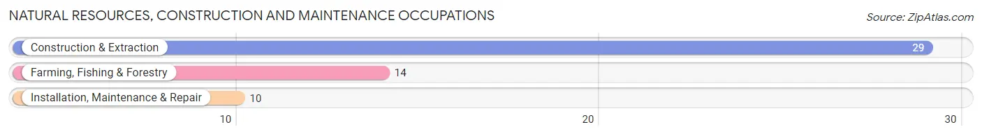 Natural Resources, Construction and Maintenance Occupations in Petersburg