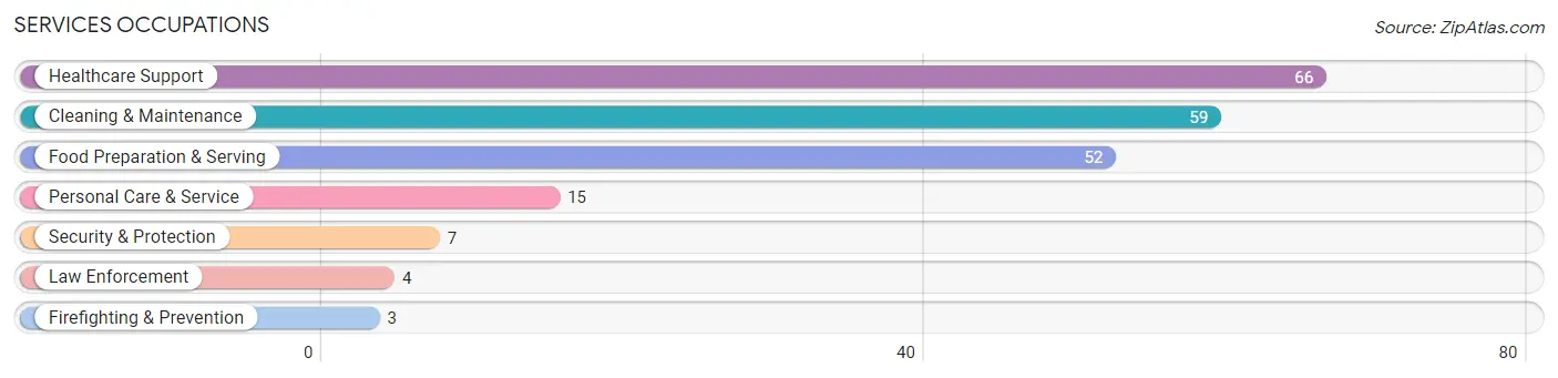 Services Occupations in Petersburg