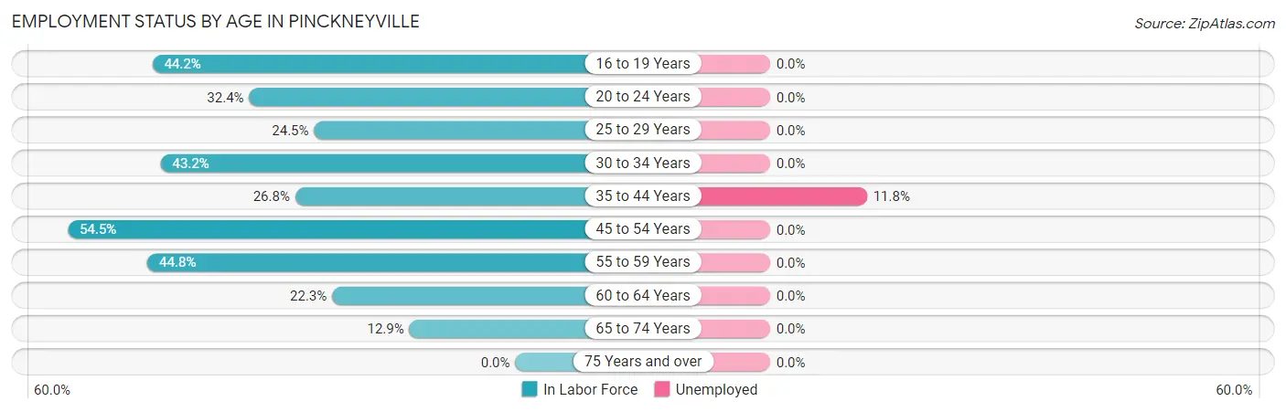Employment Status by Age in Pinckneyville