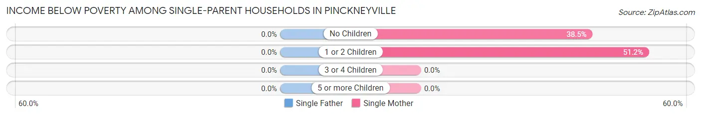 Income Below Poverty Among Single-Parent Households in Pinckneyville