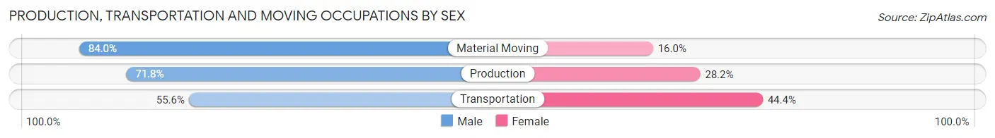 Production, Transportation and Moving Occupations by Sex in Piper City