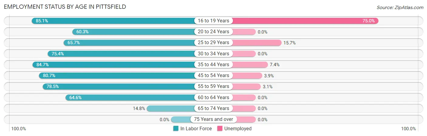 Employment Status by Age in Pittsfield