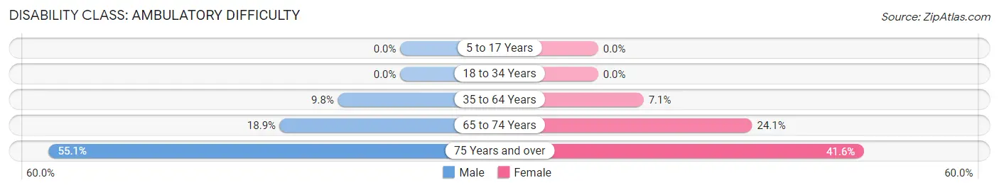 Disability in Plano: <span>Ambulatory Difficulty</span>