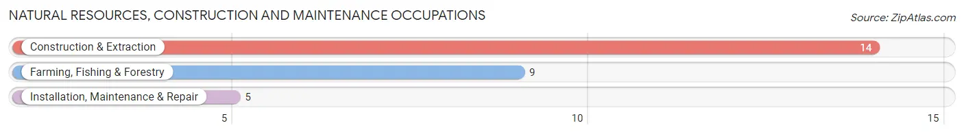 Natural Resources, Construction and Maintenance Occupations in Pleasant Hill