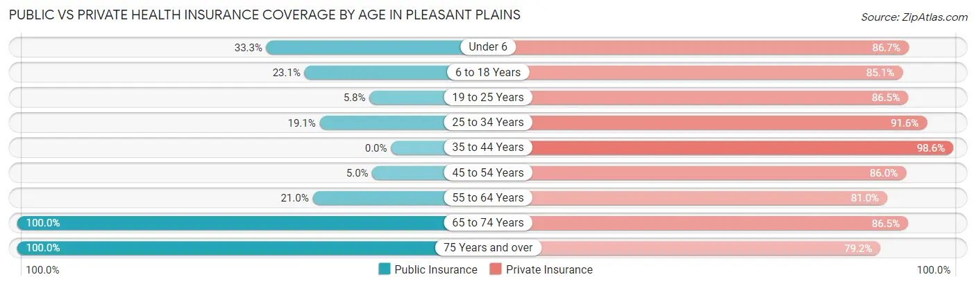Public vs Private Health Insurance Coverage by Age in Pleasant Plains