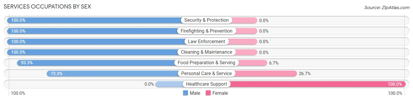Services Occupations by Sex in Pleasant Plains