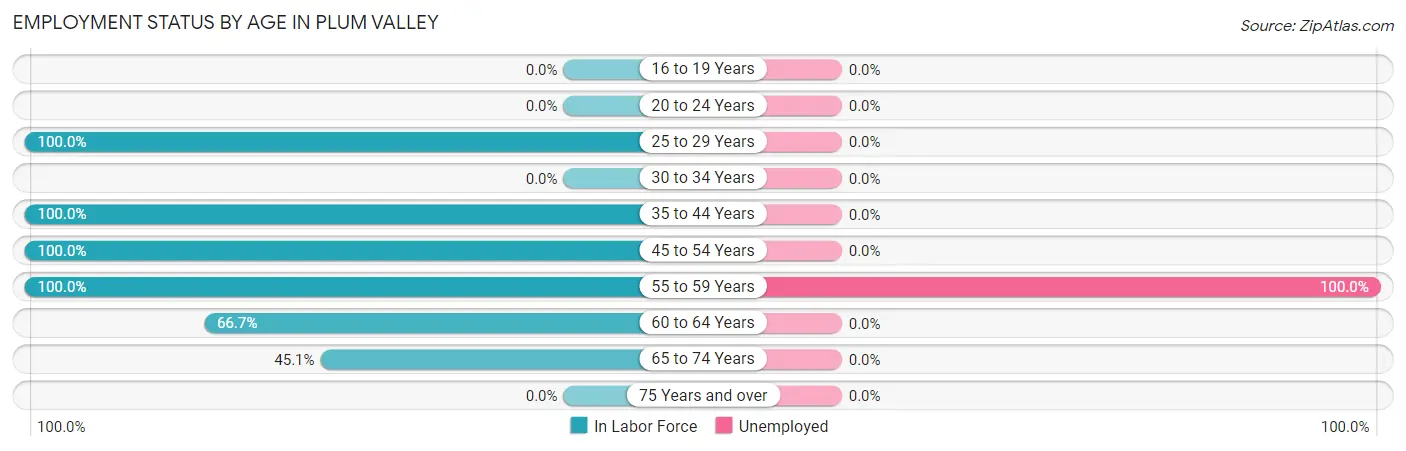 Employment Status by Age in Plum Valley