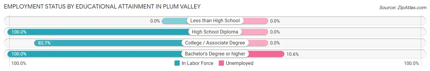 Employment Status by Educational Attainment in Plum Valley
