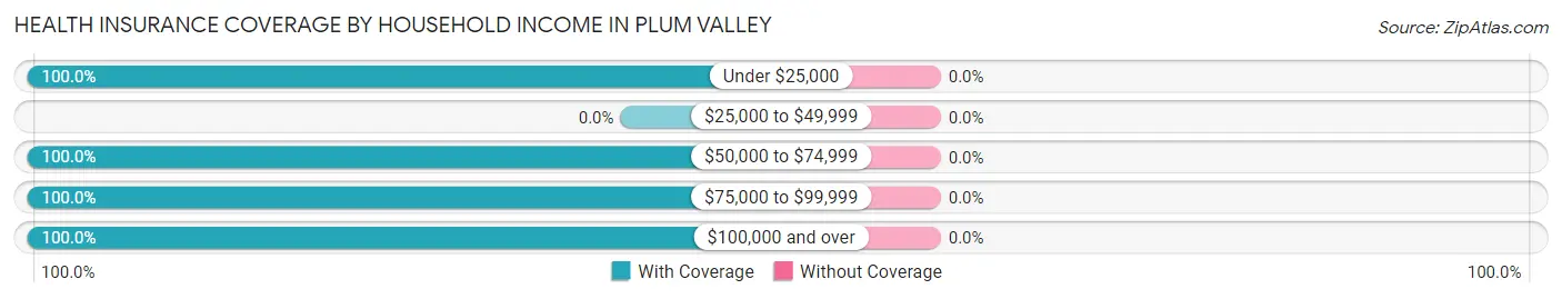Health Insurance Coverage by Household Income in Plum Valley