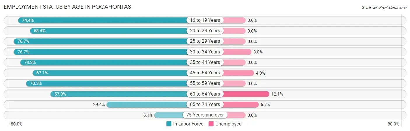 Employment Status by Age in Pocahontas