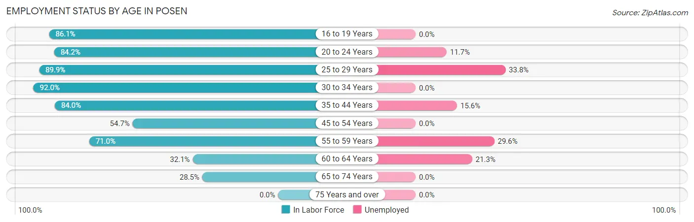 Employment Status by Age in Posen