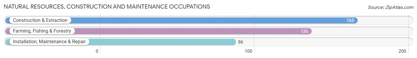 Natural Resources, Construction and Maintenance Occupations in Princeton
