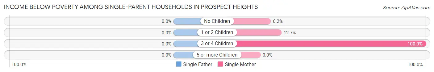 Income Below Poverty Among Single-Parent Households in Prospect Heights