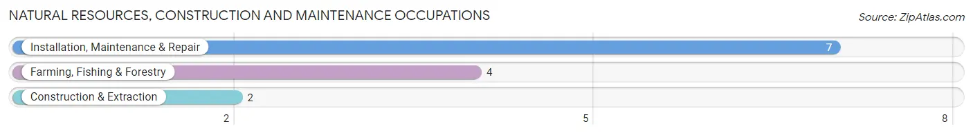 Natural Resources, Construction and Maintenance Occupations in Pulaski