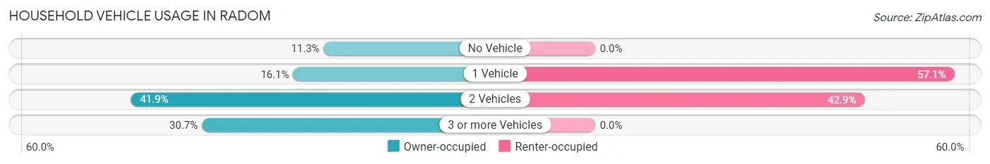 Household Vehicle Usage in Radom