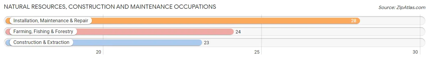 Natural Resources, Construction and Maintenance Occupations in Ramsey