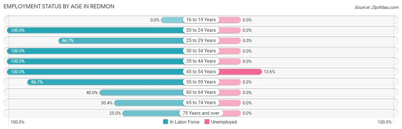 Employment Status by Age in Redmon