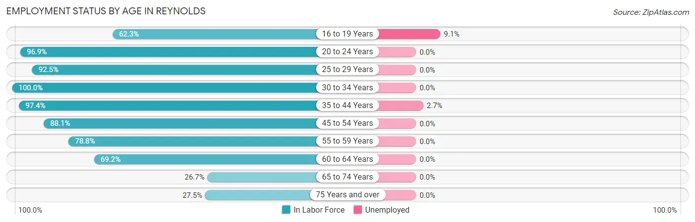 Employment Status by Age in Reynolds