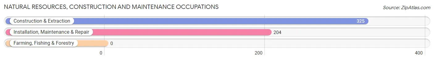 Natural Resources, Construction and Maintenance Occupations in River Grove