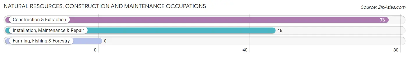 Natural Resources, Construction and Maintenance Occupations in Robbins