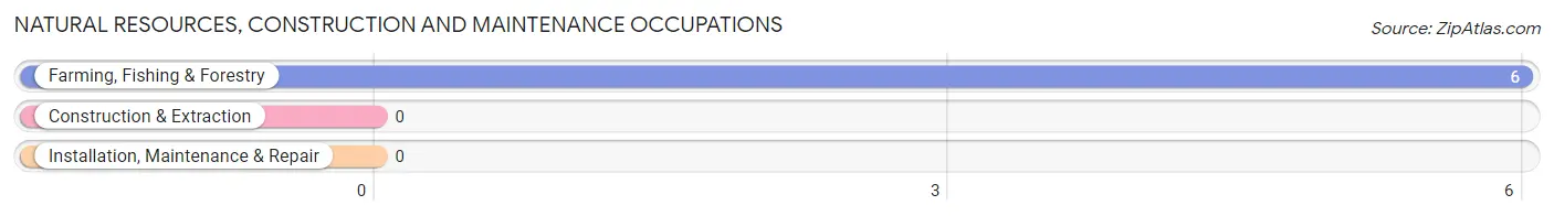 Natural Resources, Construction and Maintenance Occupations in Rockbridge