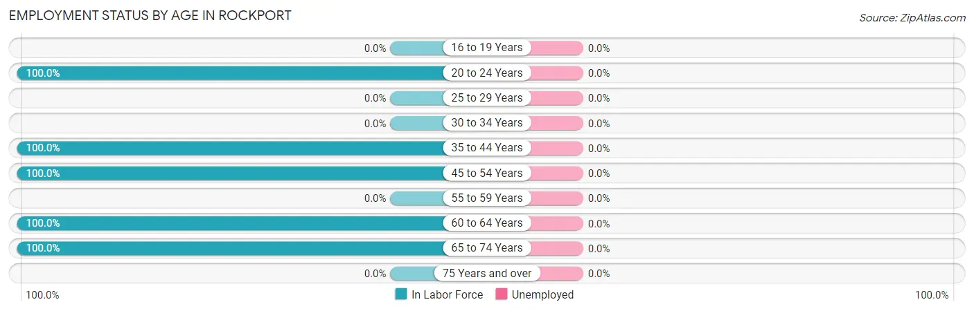 Employment Status by Age in Rockport