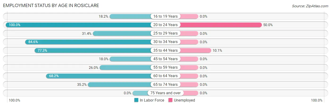 Employment Status by Age in Rosiclare