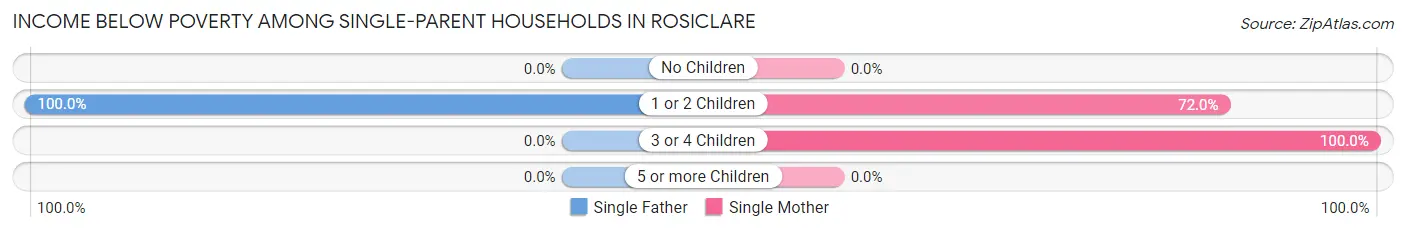 Income Below Poverty Among Single-Parent Households in Rosiclare