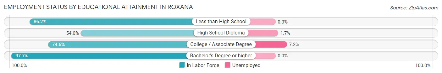 Employment Status by Educational Attainment in Roxana