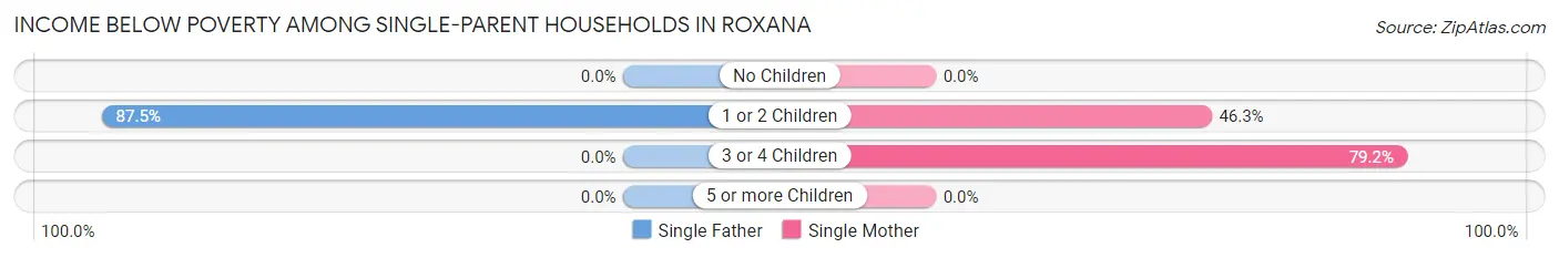Income Below Poverty Among Single-Parent Households in Roxana