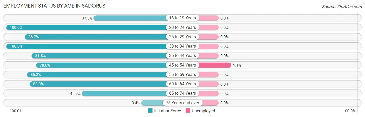 Employment Status by Age in Sadorus