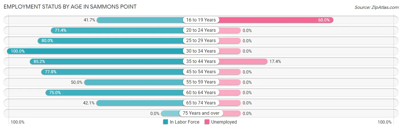 Employment Status by Age in Sammons Point