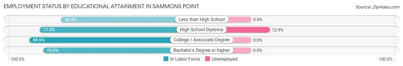 Employment Status by Educational Attainment in Sammons Point