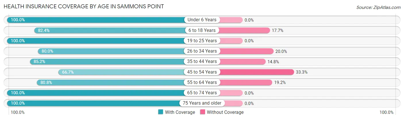 Health Insurance Coverage by Age in Sammons Point