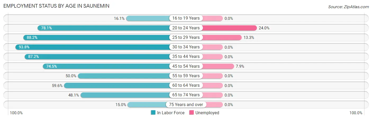 Employment Status by Age in Saunemin